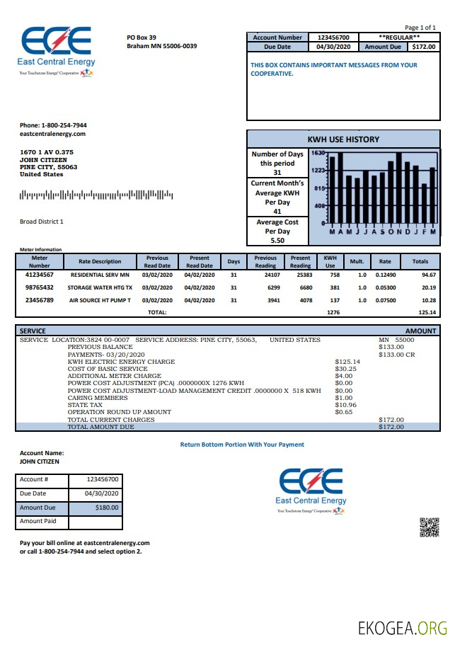 USA Minnesota East Central Energy utility bill template in Word and PDF (.doc and .pdf) format